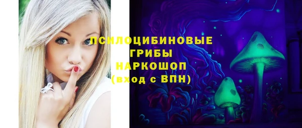 гидра Абаза