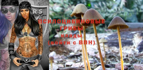 гидропоника Алексин