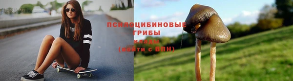 трава Алзамай