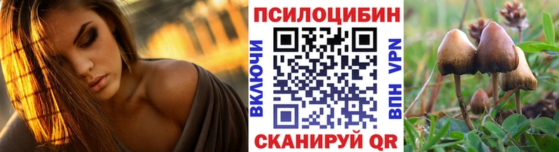 сколько стоит Плавск ссылка на мегу ссылки Галлюциногенные грибы Cubensis